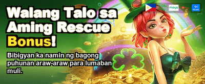Experience Premium Casino Gaming